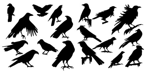 raven silhouettes
