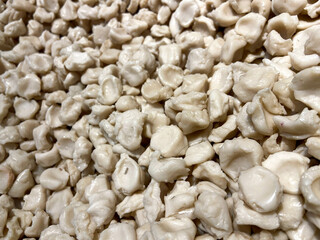 raw tekwan. fish soup typical from Indonesia. The fish cakes are made from the dough of fish and tapioca.