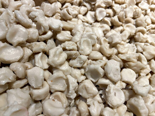 raw tekwan. fish soup typical from Indonesia. The fish cakes are made from the dough of fish and tapioca.