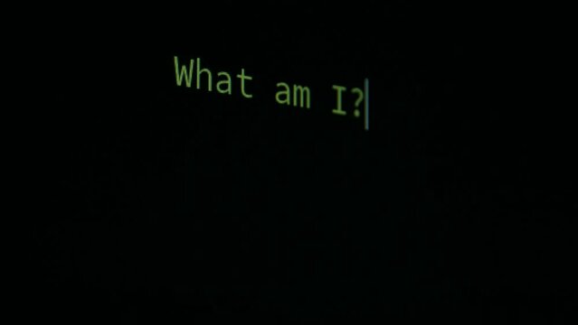 Sentient AI Artificial Intelligence Interacts with Human Via Green Text Chat