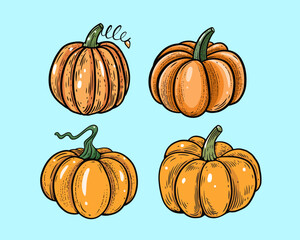 Hand drawn pumpkins set in cartoon style.