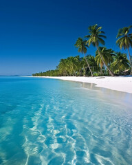 beach with palm trees