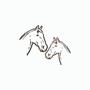 illustration of a horse on a white background