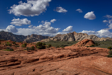 Snow Canyon View