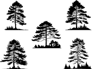 Set of tree silhouette vector illustration. Pine tree, fir tree, big old tree isolated on white