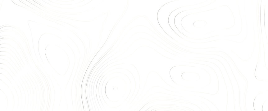 Abstract Topographic map background with wave line, topographic map background. monographic map, the stylized height of the topographic contour in lines and contours. 