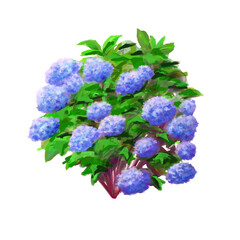 濃いタッチのアジサイのイラストレーション