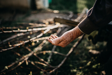 An old man's fist with a branch in the background