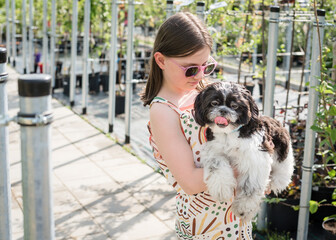 Girl with a Shih Tzu dog in greenhouses on a sunny day. The chil