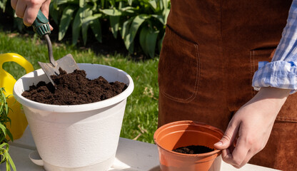 A young woman of European appearance transplants plants in a flowering garden. Garden work. Happy gardener woman in gloves and apron plants flowers on the flower bed in home garden.