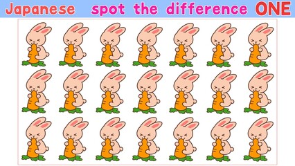 Fototapeta premium spot the difference