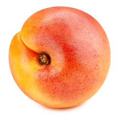 Apricot fruit isolated