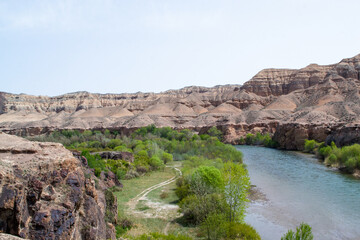 Lunar Canyon along with the Charyn River, there are many trees around. Chalk and brown mountains
