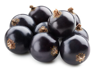 Black currant isolated