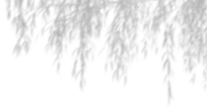 Realistic leafy shadow sunshade cutout backgrounds 3d rendering png