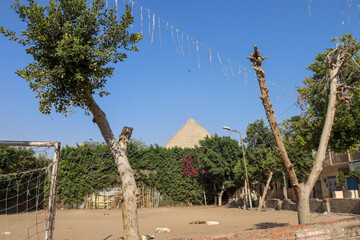 Tree branches on a rural playground in Giza with Pyramid in the background