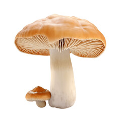 Mushroom Vegetable Ingredient Isolated on a Transparent Background, Generative Ai