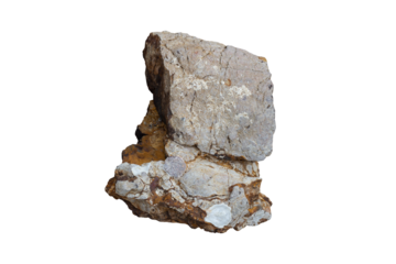 Top view of a rock, stone or boulder on the shore with shells buried isolated on white background included clipping path.