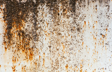 Rusty metal background. Old abstract grunge background texture for your design