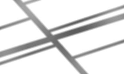 Shadow overlay effect transparent background. Abstract sunlight background with organic shadows from plants, leaves, and branches.