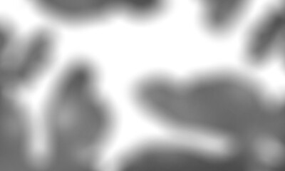 Shadow overlay effect transparent background. Abstract sunlight background with organic shadows from plants, leaves, and branches.