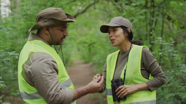 Medium shot of Indian male forest warden in yellow safety vest standing in green nature park in summer, holding small pine cone, and Hispanic female biologist explaining its structure