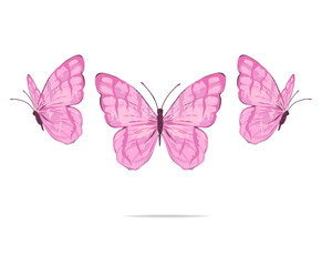 pink watercolor butterfly set