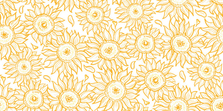 Seamless pattern with sunflower on a white background