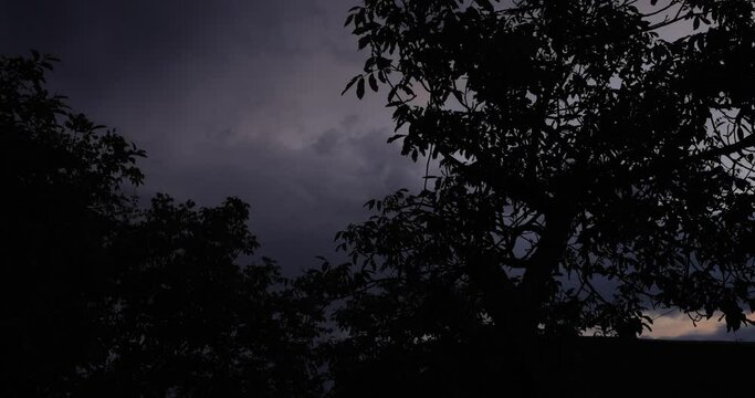 Overcast sky and tree silhouette at the stormy day