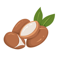 Argan Illustration, cosmetic ingredients