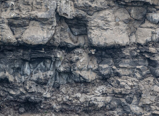 a beautiful predatory vulture sits on the rocks and looks out for prey