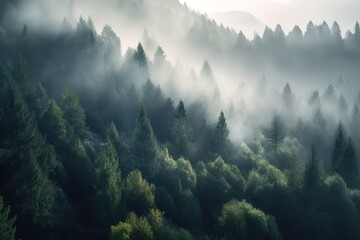 forrest top view with fog. Generative AI