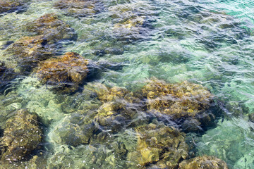 Clear sea surface with rock