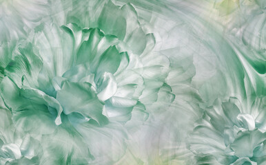 Green  flowers  tulips.   Floral spring background. Close-up. Nature.