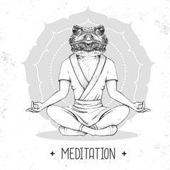 Hand drawing hipster animal frog meditating in lotus position on mandala background. Vector illustration
