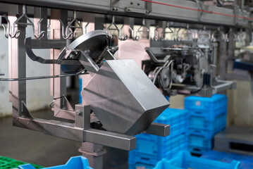 Large poultry farm processing workshop with automated conveyor systems, ensuring high-quality production, efficient packaging, and strict hygiene standards