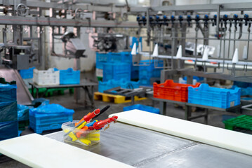 Large poultry farm processing workshop with automated conveyor systems, ensuring high-quality...