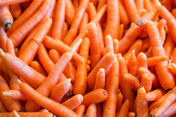 Lots of carrots in a pile. Orange colored vegetables as background.
