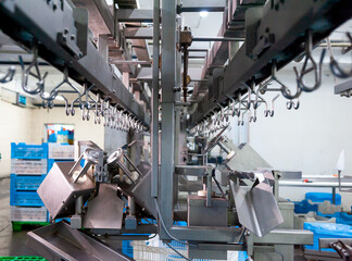 Large poultry farm processing workshop with automated conveyor systems, ensuring high-quality production, efficient packaging, and strict hygiene standards