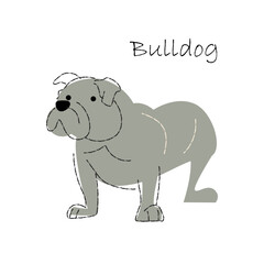 Bulldog . Cute dog cartoon characters . Flat shape and line stroke design . Vector illustration .