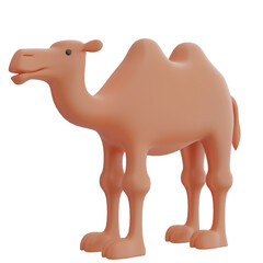 Camel 3D