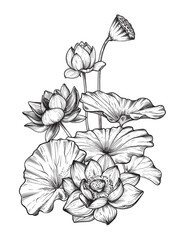 Vector frame with hand drawn blooming lotus flowers and leaves.