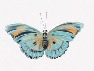 Turquoise butterfly with ochre spots on a white background. Digital watercolor painting