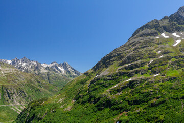 Naklejka na ściany i meble Panoramic view of green alpine meadows and mountains