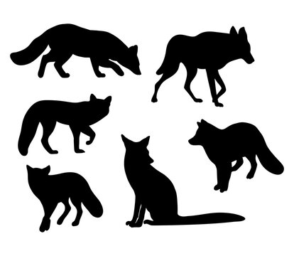 Collection silhouettes wild forest animals fox and wolf. Vector illustration. Isolated hand drawings predators on white background for design.