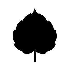 illustration of a leaf vector 