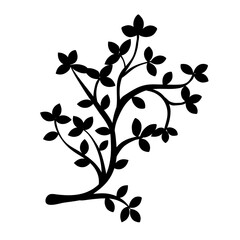 illustration of a leaf vector 