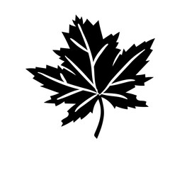 black and white leaf