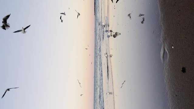 Seagulls flying over Baltic sea Dark blue clouds and sea or ocean water surface with foam waves before storm, dramatic seascape background. Incredible sunsets. Abstract natural pattern texture.