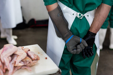 High-tech poultry production facility with modern machinery, ensuring safe and efficient meat...